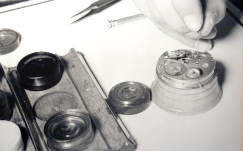 80614c_4afb1c6d564d425187f33c60d70b3996